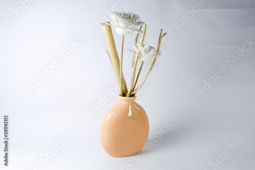 Flower pot with white background
