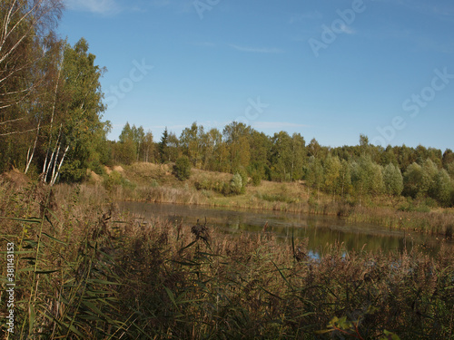 Autumn landscape. An old overgrown pond surrounded by trees and reeds.