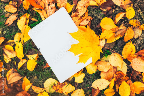 Blank sheet with space for text on a background of yellow autumn leaves. List of plans and goals.