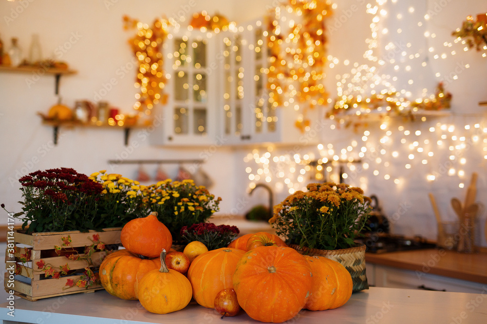 Autumn kitchen interior. Red and yellow leaves and flowers in the vase and pumpkin on light background - obrazy, fototapety, plakaty 