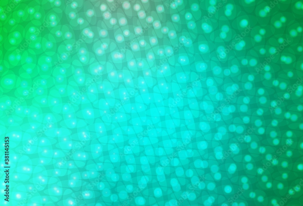 Light Green vector background with bubbles. Light Green vector background with bubbles.
