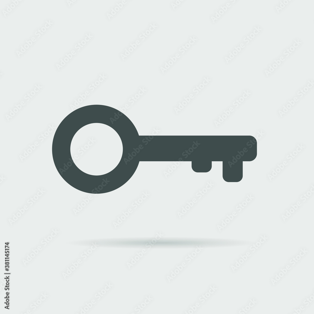 Key vector icon on a light background Key vector icon on a light background