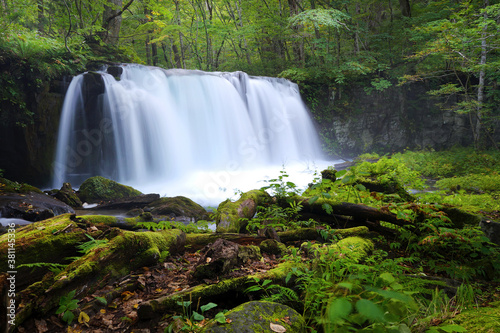 Oirase river in Aomori, Japan