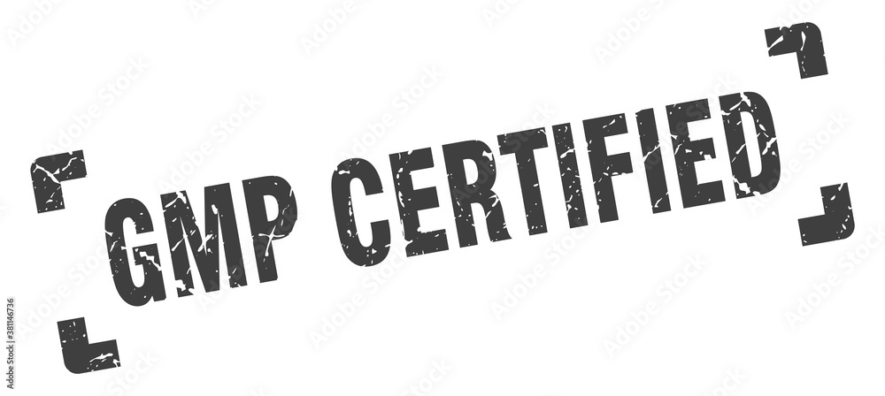Fototapeta premium gmp certified stamp. square grunge sign isolated on white background