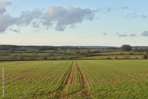Looking down a long track in a green field in Cotswolds countryside