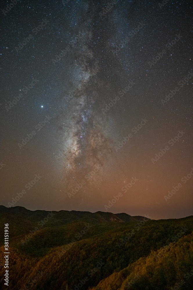 Milky Way in the Garajonay National Park, La Gomera