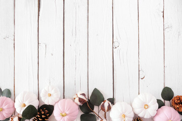 Fall border of dusty rose and white pumpkins with eucalyptus leaves over a white wood background. Top view with copy space.