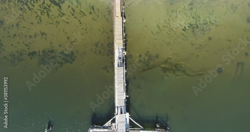 Aerial view. Dragon, monster of prehistoric era, floats underwater along coast river, Ness Monster photo
