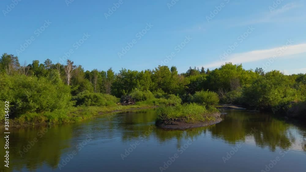Wild forest river in a beautiful sunny day Wild forest river in a beautiful sunny day