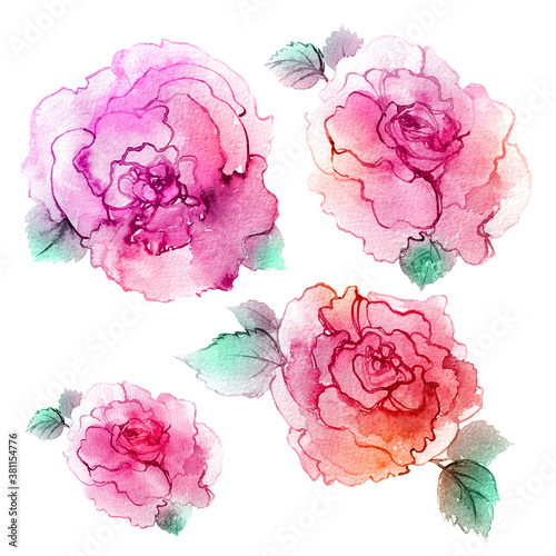 Pink roses on a white background. Set of beautiful wedding flowers