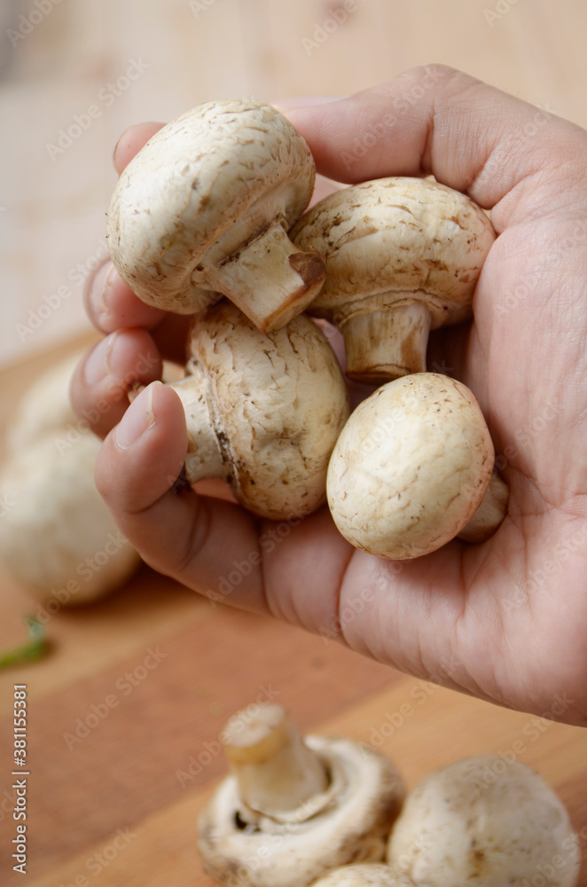 hand holding mushrooms