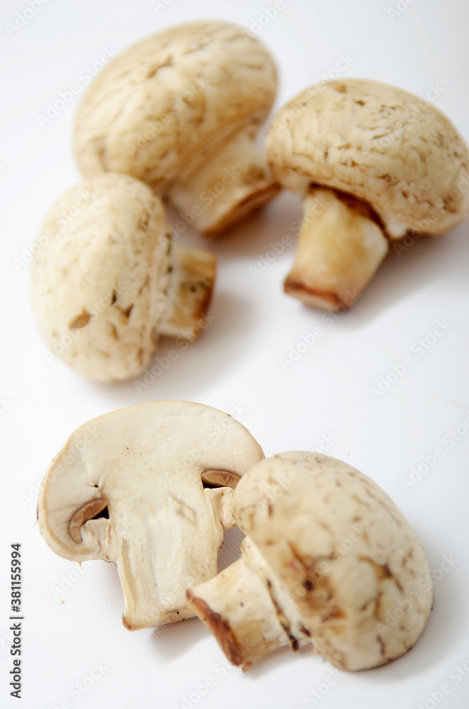 mushrooms on a white background mushrooms on a white background
