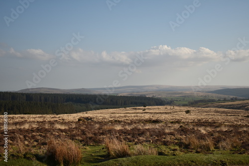 The rolling hills of Dartmoor, England