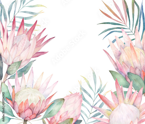 Fototapeta Naklejka Na Ścianę i Meble -  Floral card with protea. Watercolor template for wedding invitations, posters, valentines day, easter, birthday