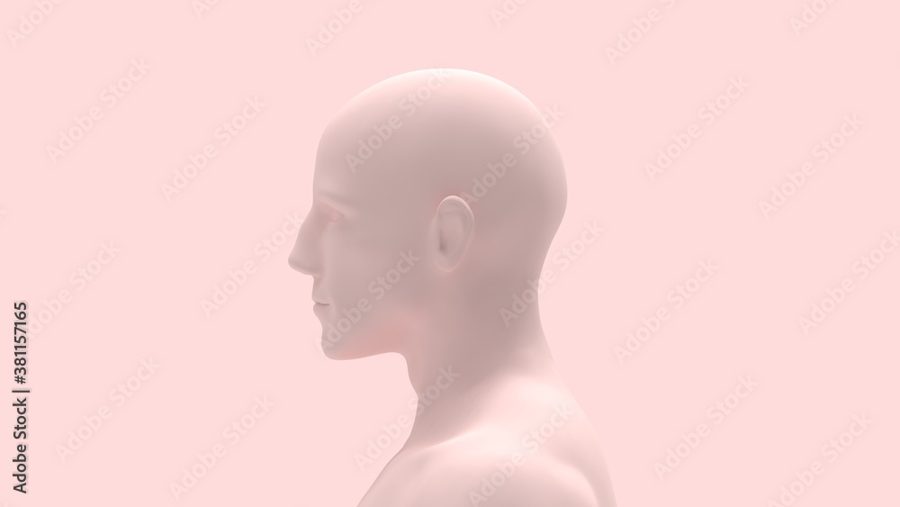 3D rendering of a human person body anatomy skin colore isolated
