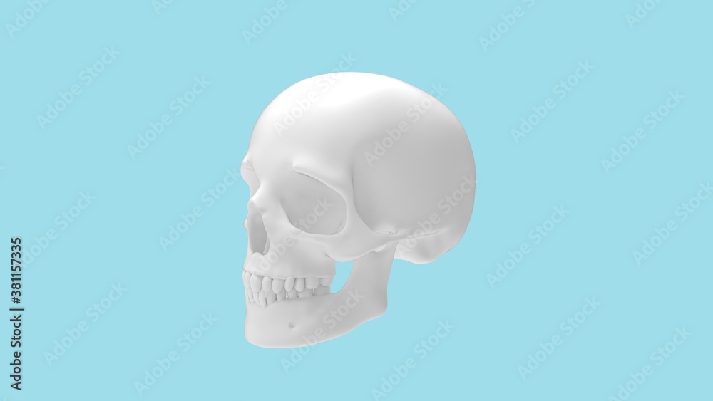 3D rendering of a human skull head bone person isolated 3D rendering of a human skull head bone person isolated