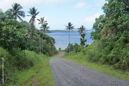 A road running through a thicket of tropical trees in the jungle of Taveuni Island in the Fiji Archipelago