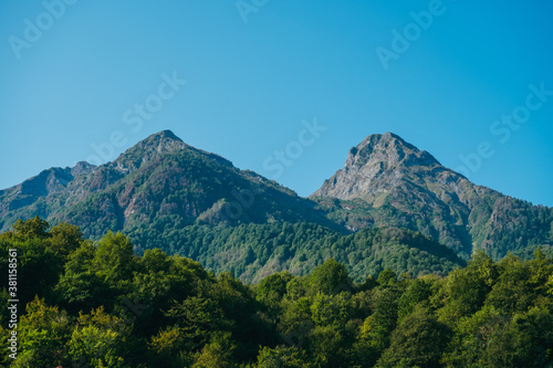natural wallpaper landscape with high mountains and forest against a blue sky