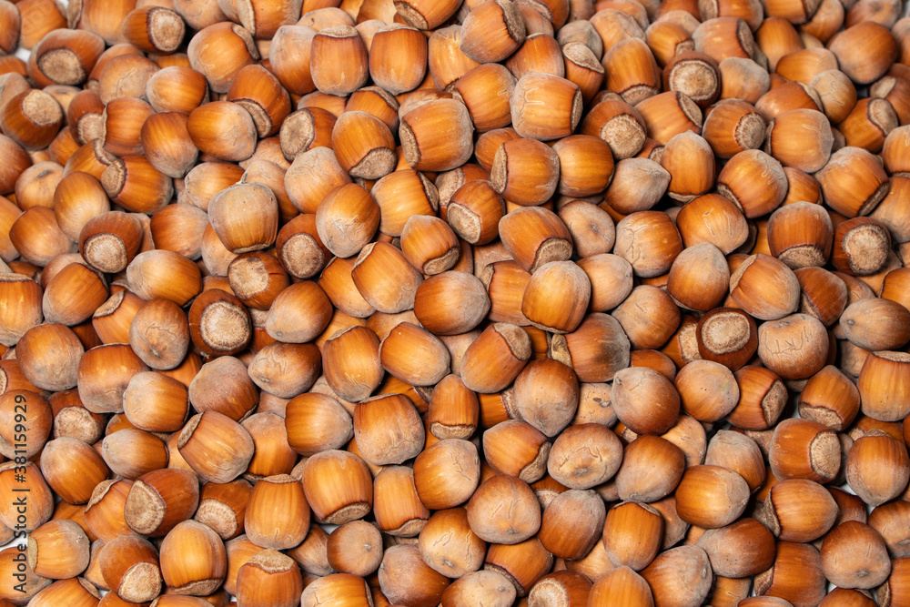 Hazelnuts. Food background, photo wallpaper Hazelnuts. Food background, photo wallpaper