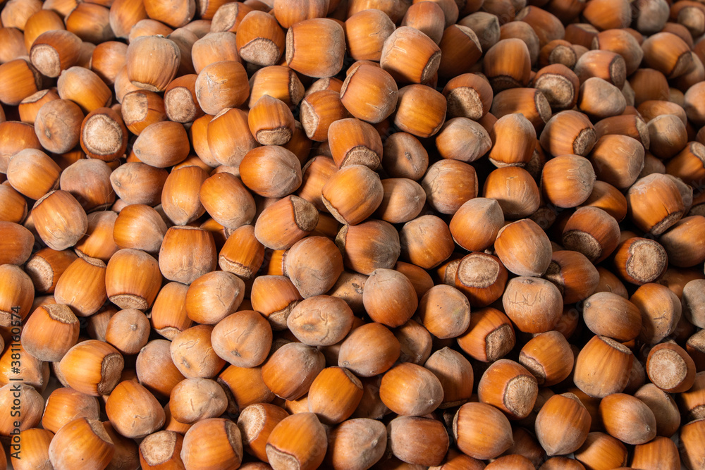 Hazelnuts. Food background, photo wallpaper Hazelnuts. Food background, photo wallpaper