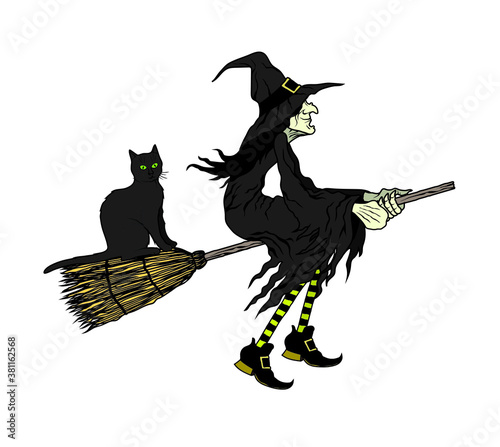 Vector illustration of a witch with a black cat on a broom
