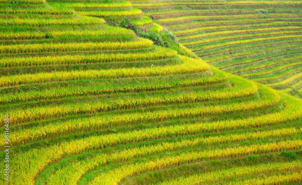Longji Rice Terraces Longji Rice Terraces