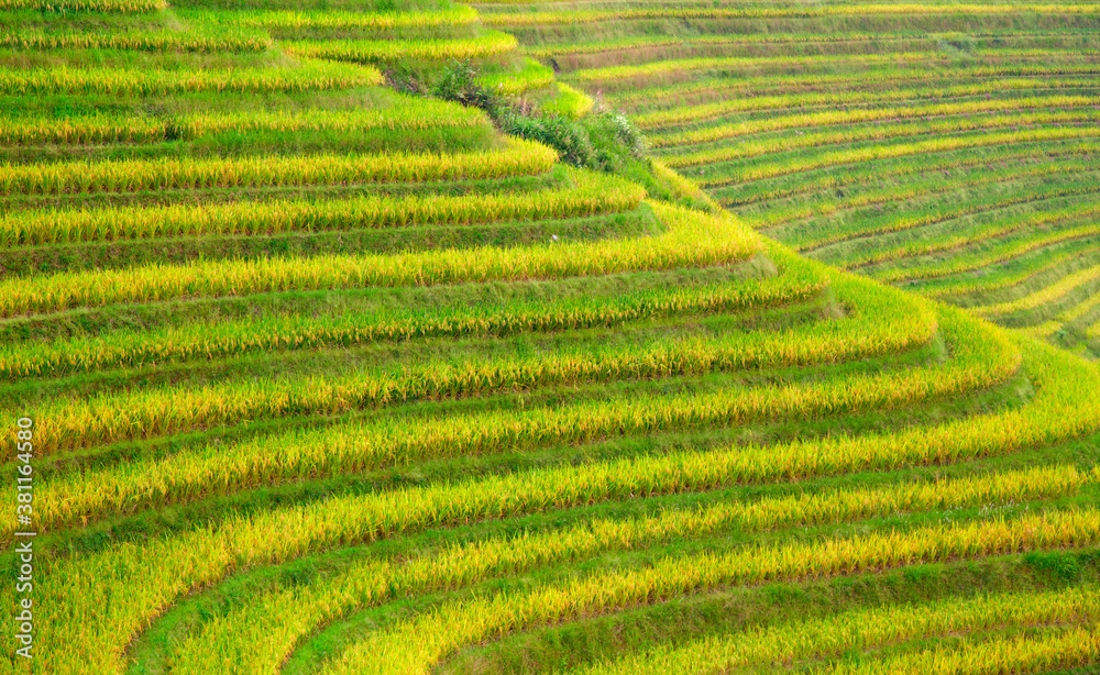 Longji Rice Terraces