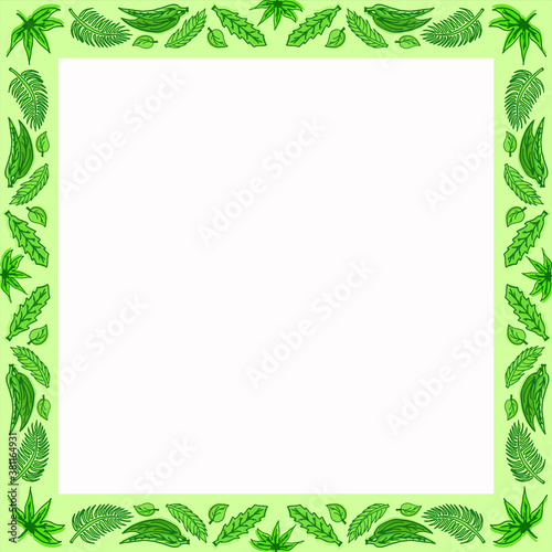 collection of green leaves frame, hand drawn vector. photo frame with natural background. nice for presentation, greeting and invitation card. hand drawn vector. simple sketching, modern scribble. 
