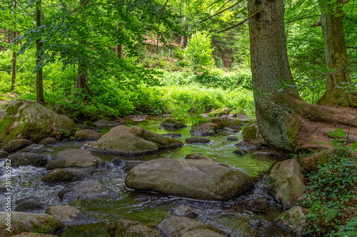 nature reserve in the Bavarian Forest