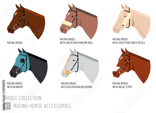 Set of Race Horse Head Accessories