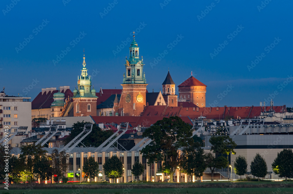 Obraz premium Wawel Castle Krakow, Poland, seen from Blonia meadow.