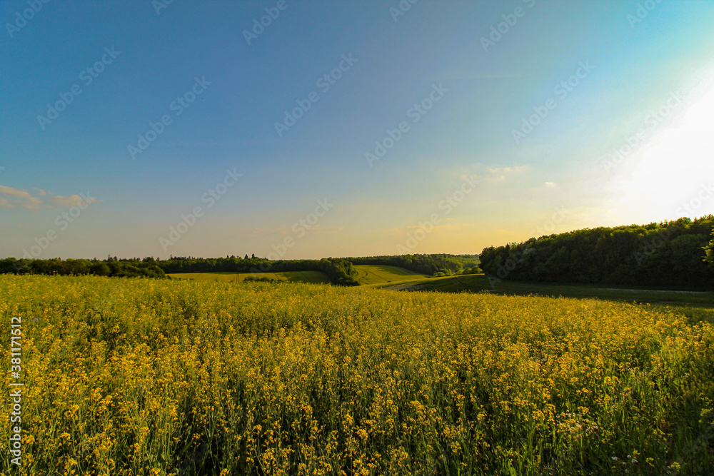 Open fields with blue skies