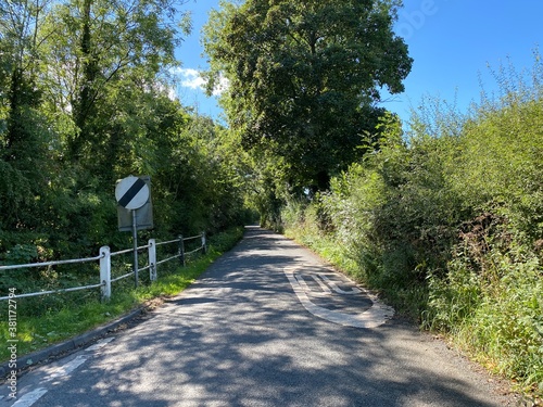 Looking down, Wescoe Hill Lane with large old trees, high hedgerows, and bright sunshine near, Weeton, Harrogate, UK photo