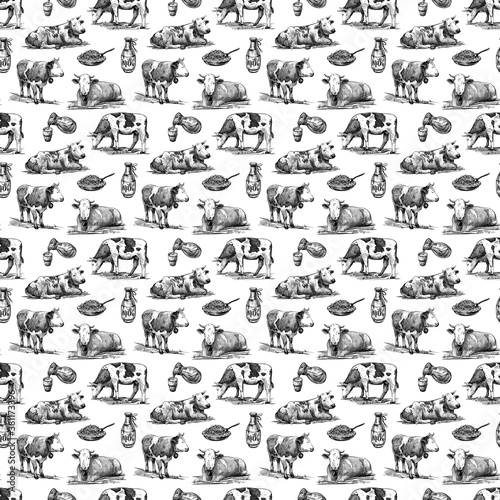 Farm cows  homemade cottage cheese  milk seamless pattern hand drawn in a graphic style. Isolated on white background
