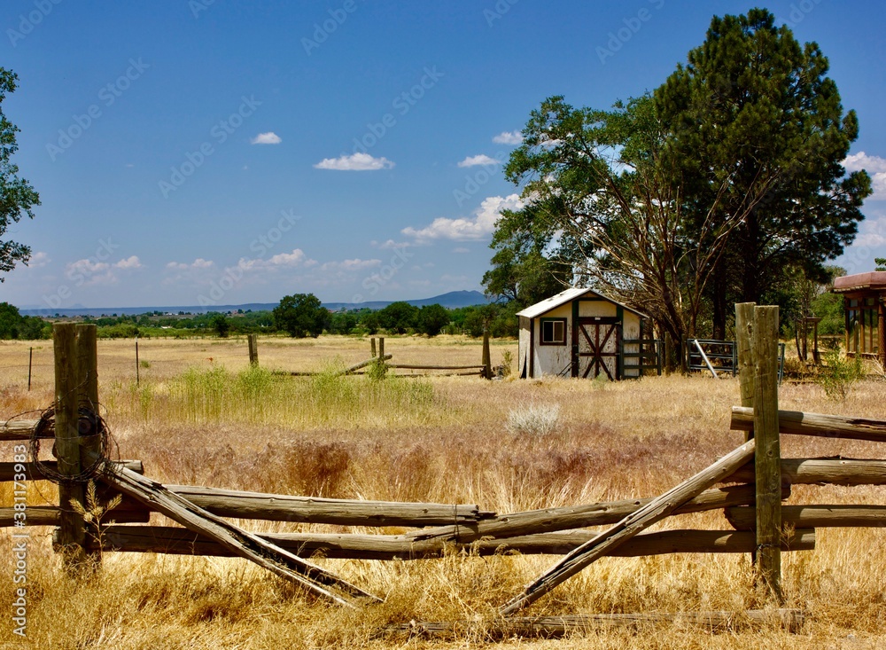 Fence in the field
