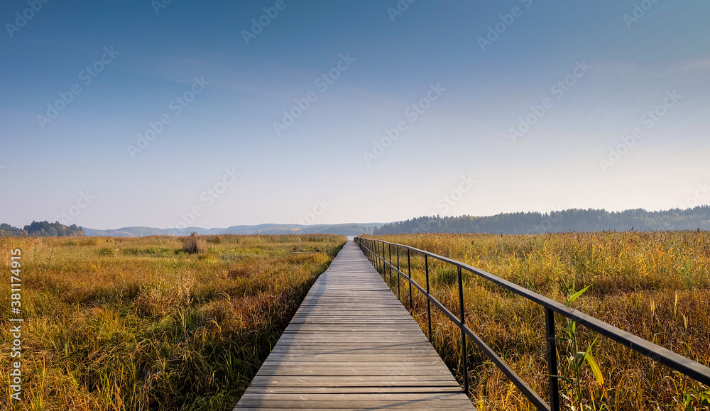 A long wooden pier to the lake trough reeds