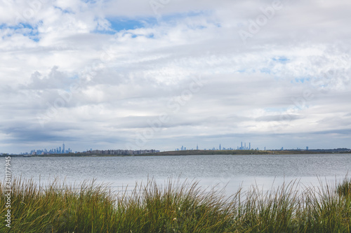 Tall grass field with over pond with nyc buildings in the background