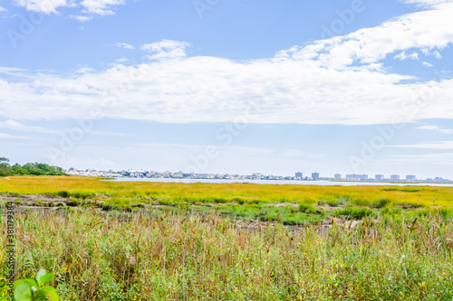 Grass field with swamp and moss around and buildings in the background photo