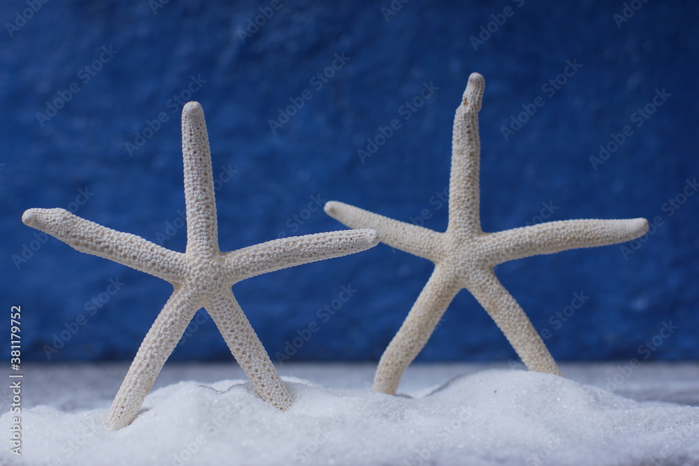 Two starfishes joined hands stand on white sand against the background of the blue sea Two starfishes joined hands stand on white sand against the background of the blue sea
