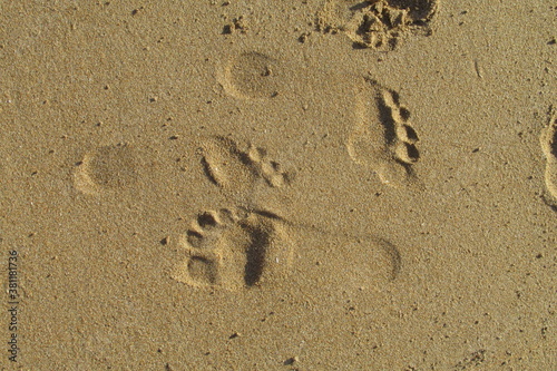 Huellas de pies sobre arena de la playa