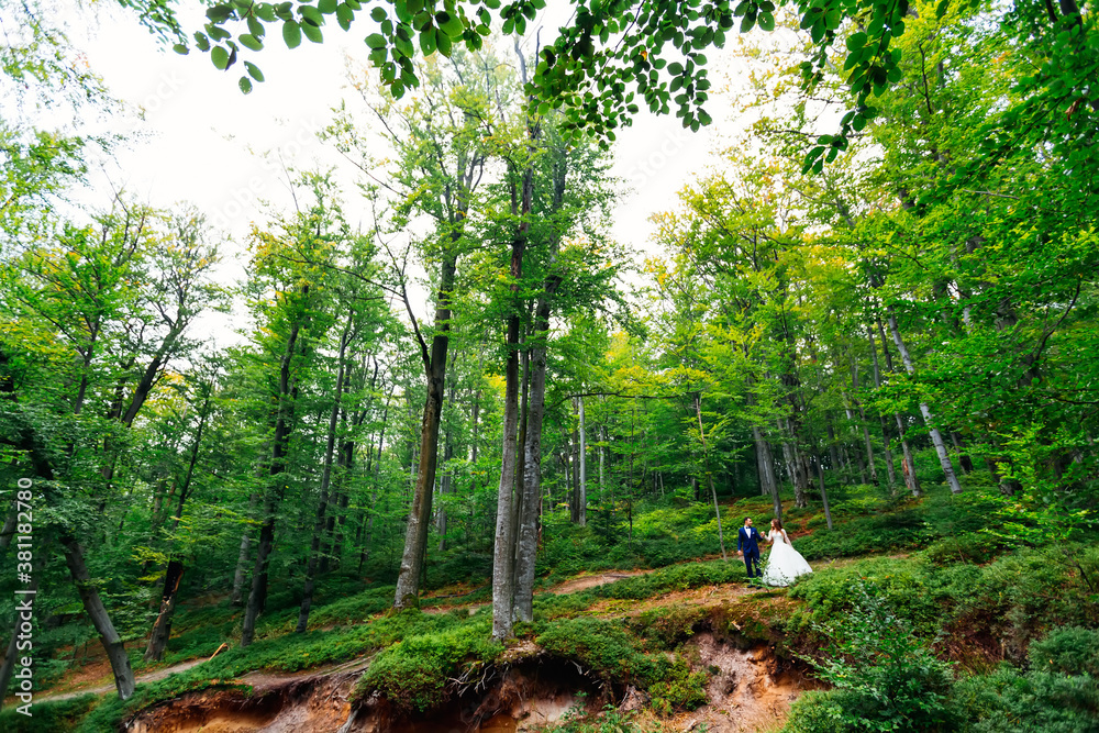 the wedding  couple hold hands in the dramatic forest