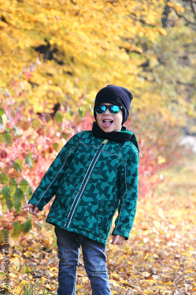 Little boy having fun in beautiful park with dry yellow and red leaves. Autumn family walk in forest Little boy having fun in beautiful park with dry yellow and red leaves. Autumn family walk in forest
