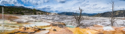 hydrothermal areas of mammoth hot springs in yellowstone national park in wyoming in the usa