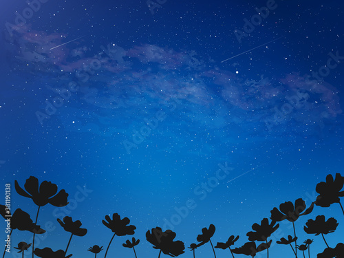 Fototapeta Naklejka Na Ścianę i Meble -  コスモスと宇宙 綺麗な夜空の風景イラスト