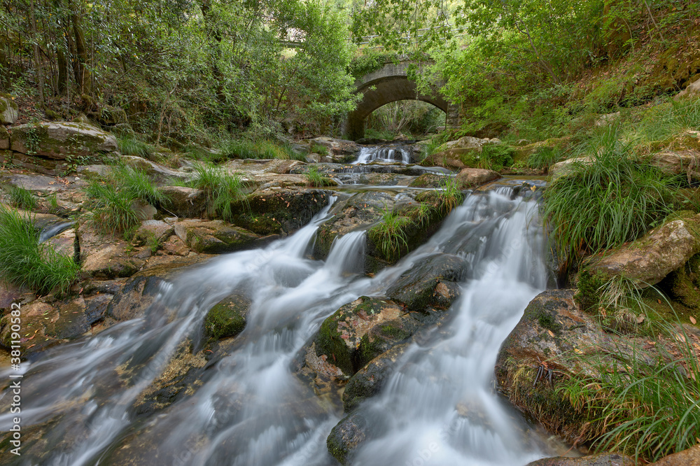 Small river that passes under an old stone bridge in the middle of a forest.