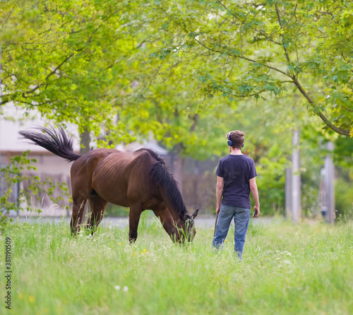 Promenade avec un cheval © shocky