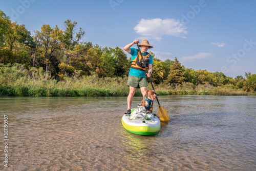 senior paddler is paddling stand up paddleboard with his pitbull dog on a shallow river - Dismal River at Nebraska National Forest  early fall scenery