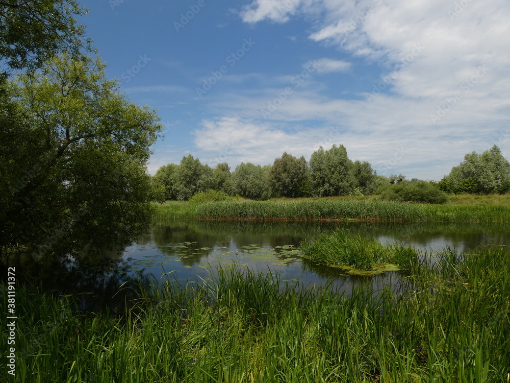 Rural landscape with grassy riverside in sunny day, Motlawa river, Gdansk Poland