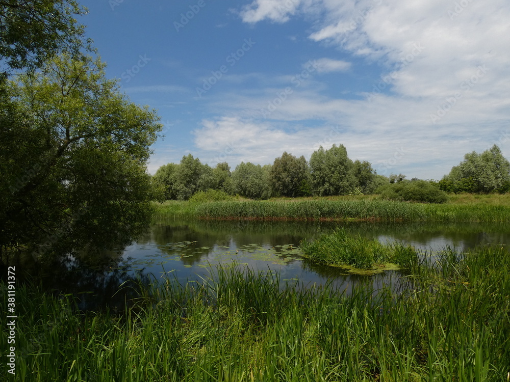 Rural landscape with grassy riverside in sunny day, Motlawa river, Gdansk Poland Rural landscape with grassy riverside in sunny day, Motlawa river, Gdansk Poland