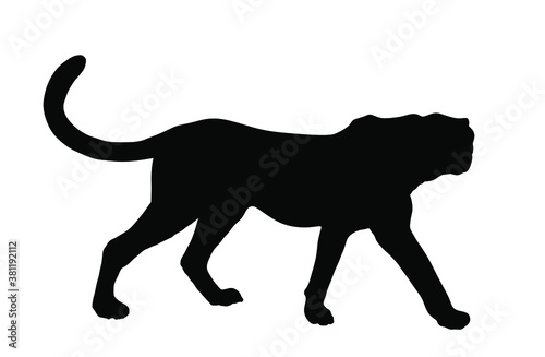 Cheetah vector silhouette illustration isolated on white background. Big cat, fastest animal on planet. African safari animal. Elegant gepard.